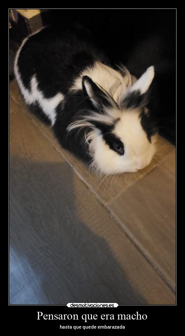 Pensaron que era macho - hasta que quede embarazada