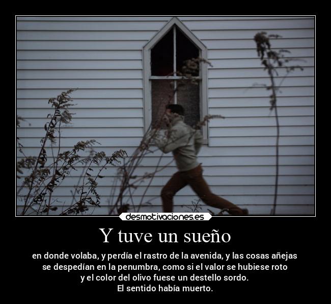 Y tuve un sueño - en donde volaba, y perdía el rastro de la avenida, y las cosas añejas
se despedían en la penumbra, como si el valor se hubiese roto
y el color del olivo fuese un destello sordo.
El sentido había muerto.