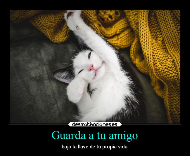 Guarda a tu amigo - 