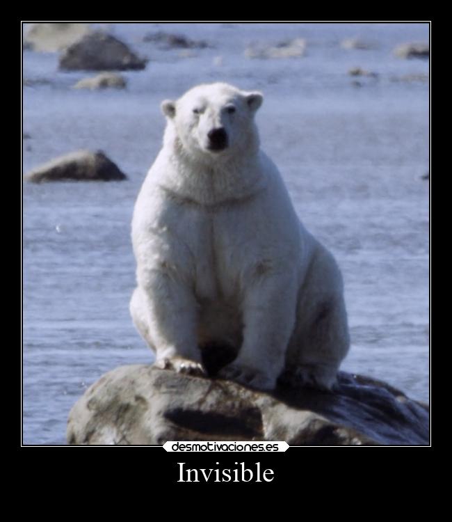 Invisible -