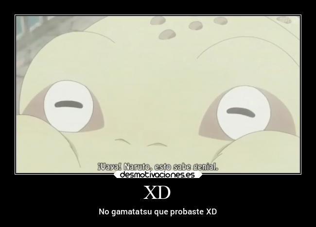 carteles animales desmotivaciones