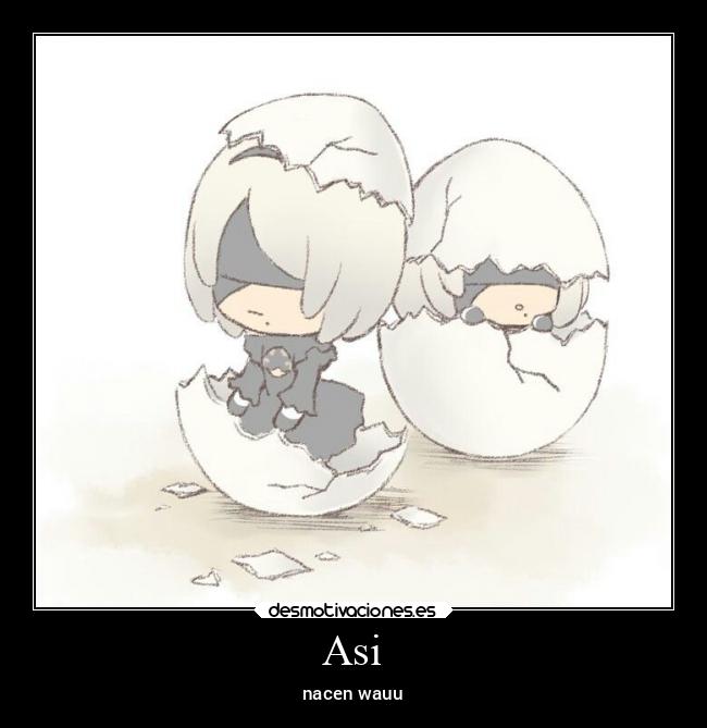 Asi - nacen wauu