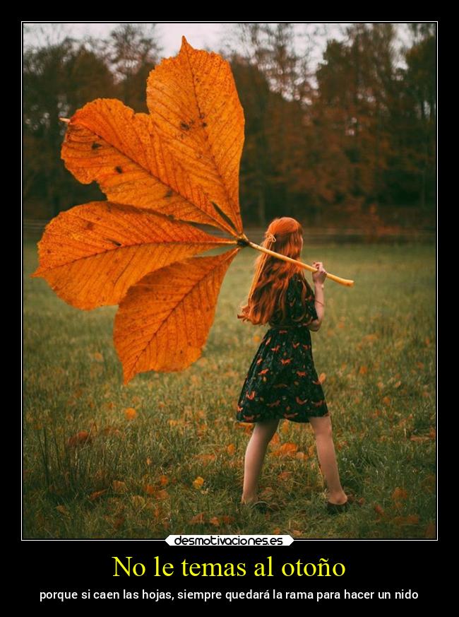 No le temas al otoño -