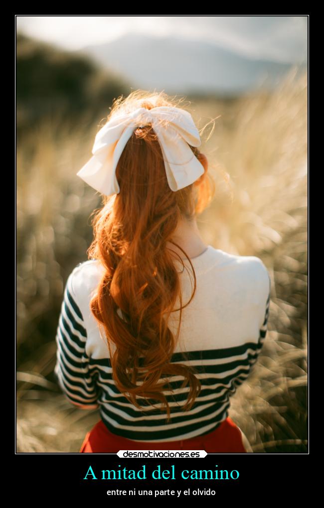 A mitad del camino - 