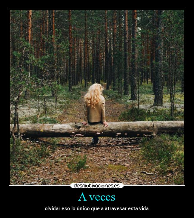 carteles anime bogota ausencia alicea laterceracola desmotivaciones