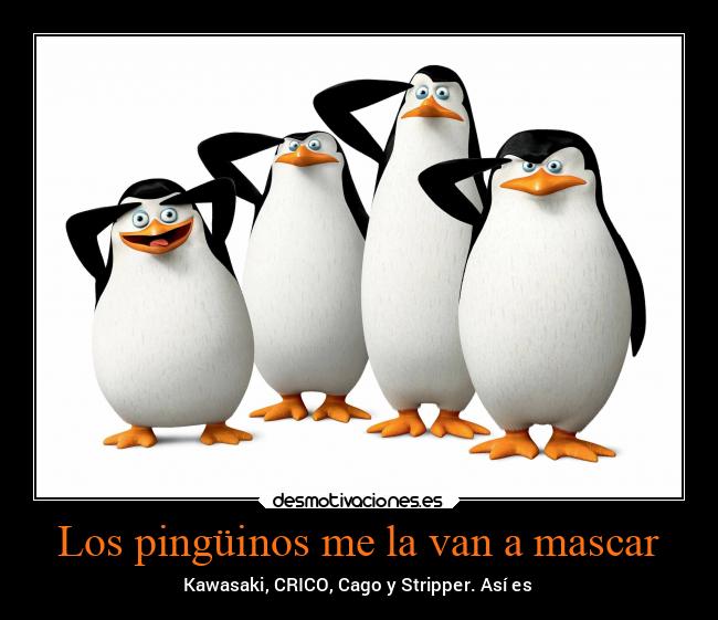 Los pingüinos me la van a mascar -