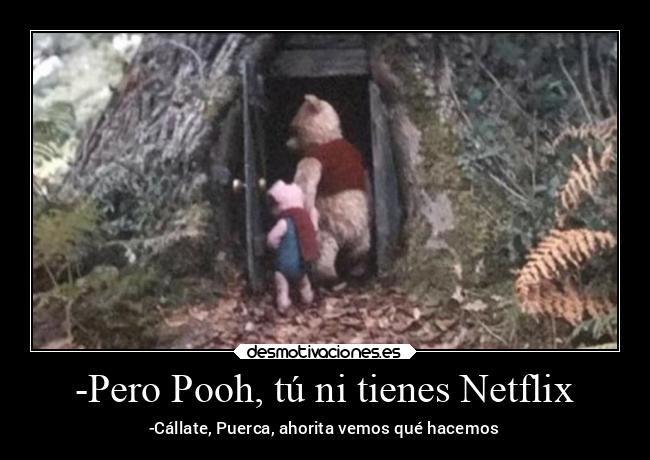 -Pero Pooh, tú ni tienes Netflix - -Cállate, Puerca, ahorita vemos qué hacemos