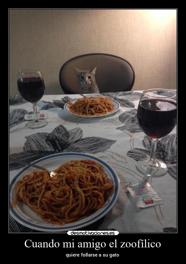 Cuando mi amigo el zoofílico - quiere follarse a su gato