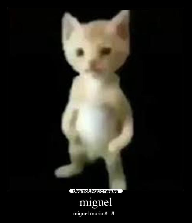 miguel - 