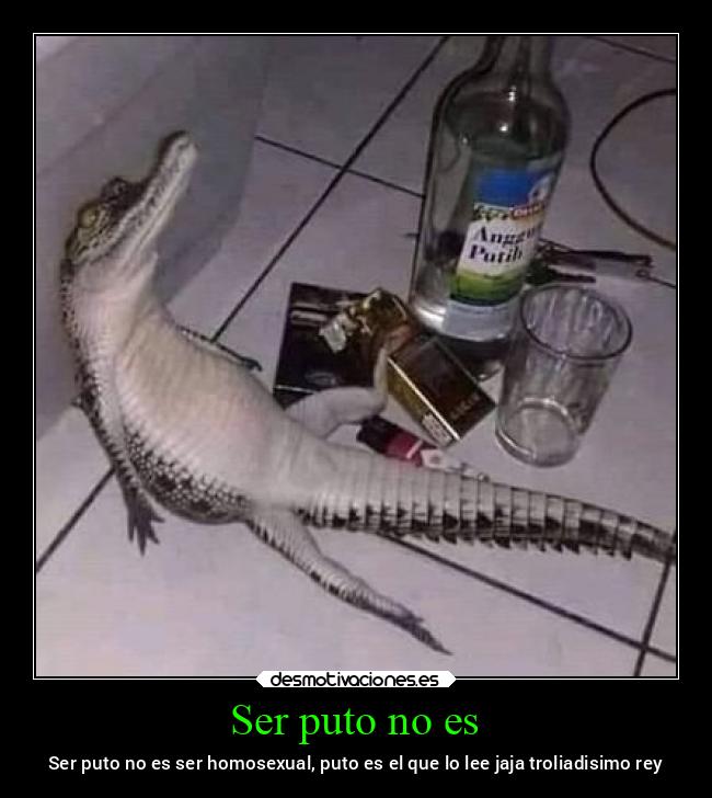 carteles bogota dolor desmotivaciones