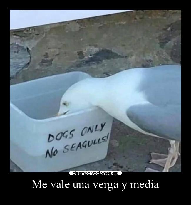Me vale una verga y media -