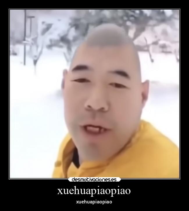 xuehuapiaopiao -