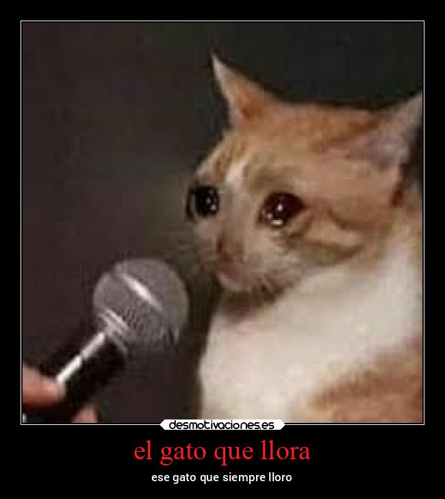 el gato que llora - 