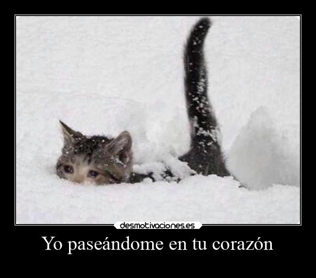 Yo paseándome en tu corazón - 