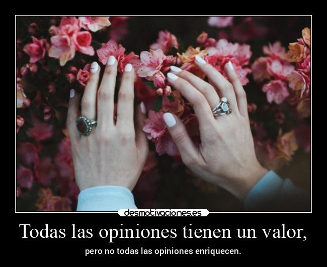 Todas las opiniones tienen un valor, - pero no todas las opiniones enriquecen.