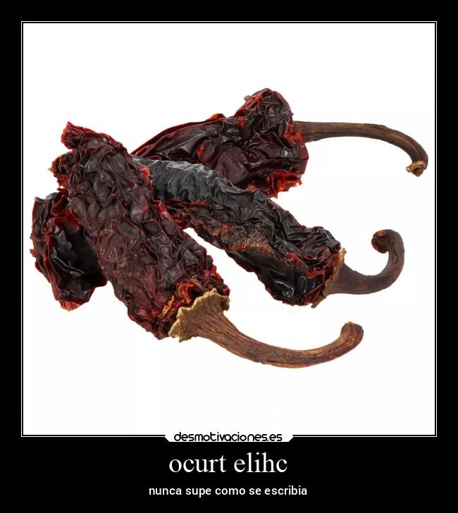 ocurt elihc - nunca supe como se escribia