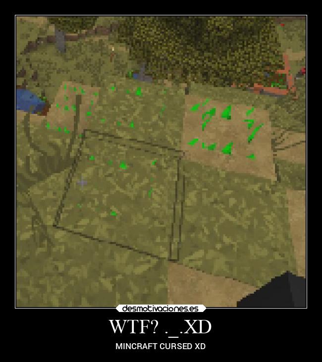 WTF? ._.XD - MINCRAFT CURSED XD