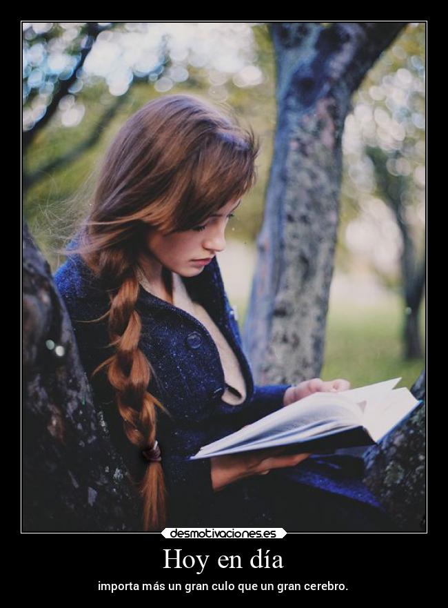 carteles ignorancia inteligencia desmotivaciones