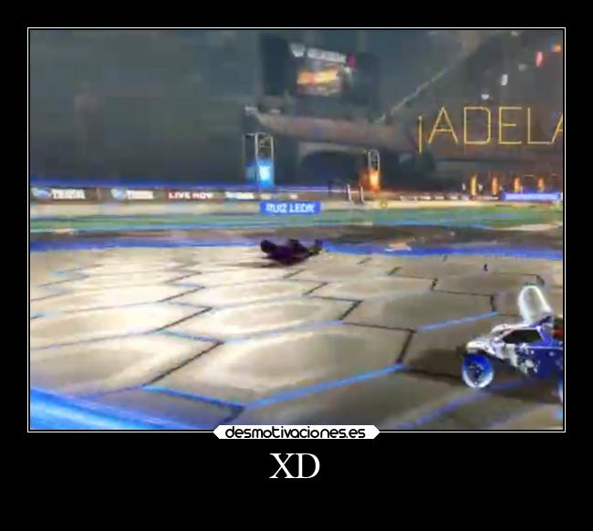 carteles memes humor desmotivaciones