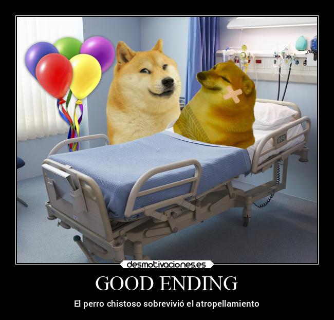 carteles memes desmotivaciones