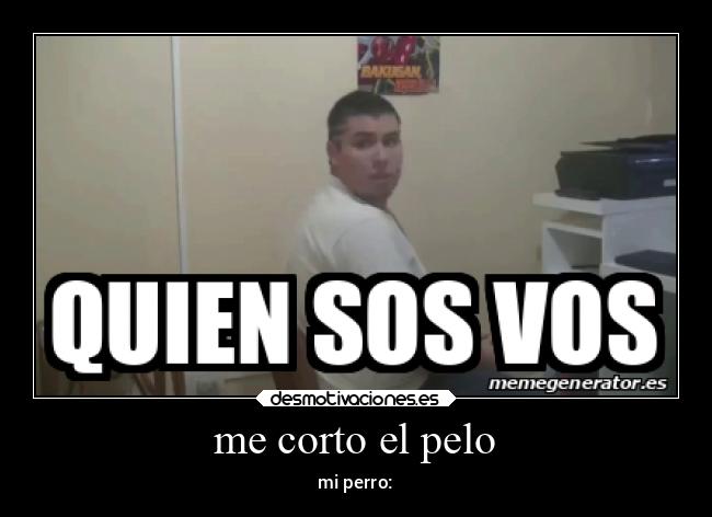 me corto el pelo - mi perro: