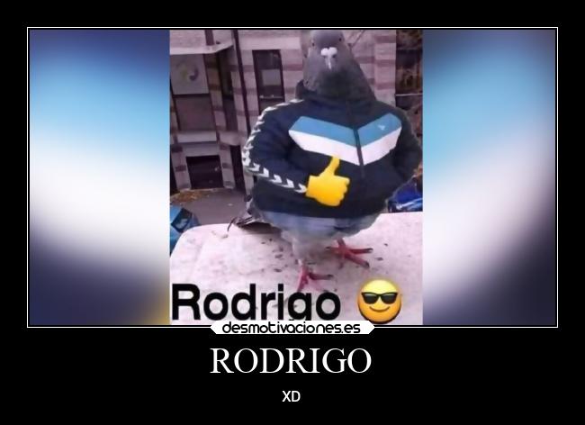 carteles memes desmotivaciones