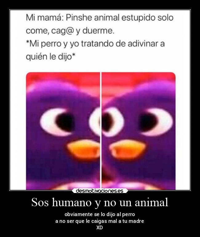 Sos humano y no un animal - obviamente se lo dijo al perro
a no ser que le caigas mal a tu madre
XD