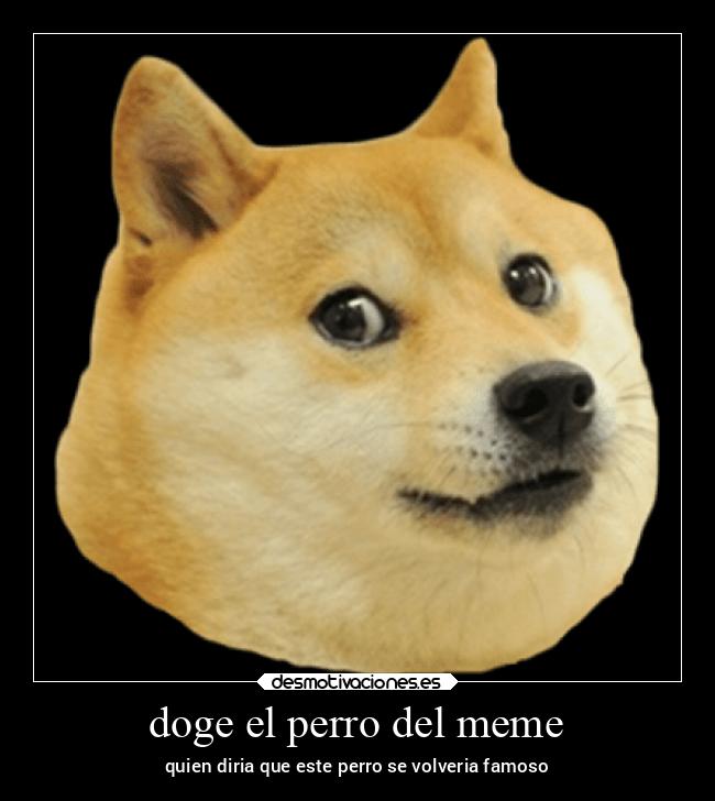 doge el perro del meme -