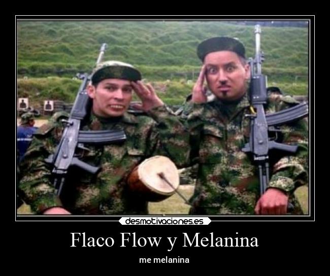 carteles musica memes desmotivaciones