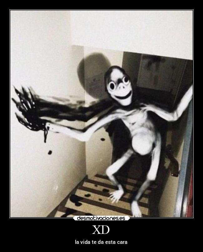 XD - la vida te da esta cara