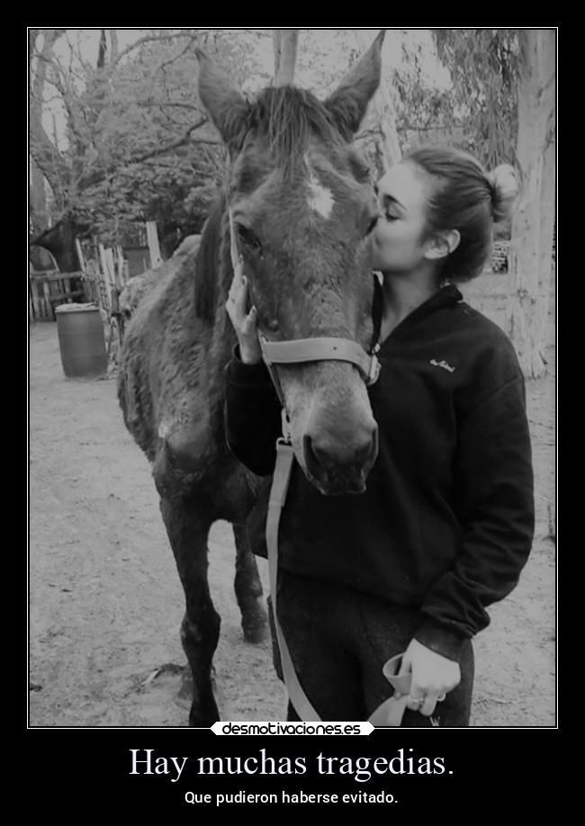 carteles tristeza muerte pandemia2021 incompetencia inapropiado inocencia juventud desmotivaciones