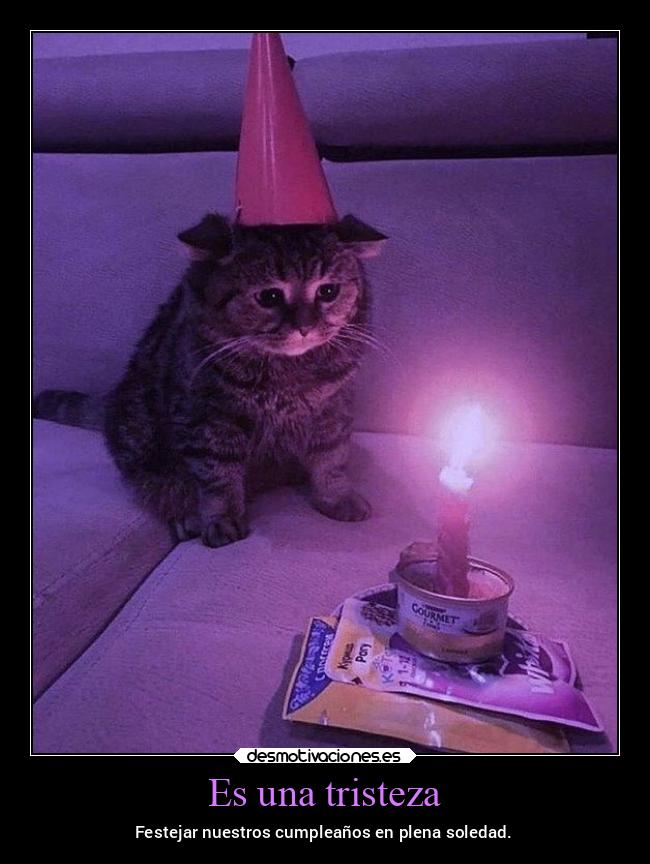 carteles tristeza tristeza soledad festejar pandemia2021 desmotivaciones