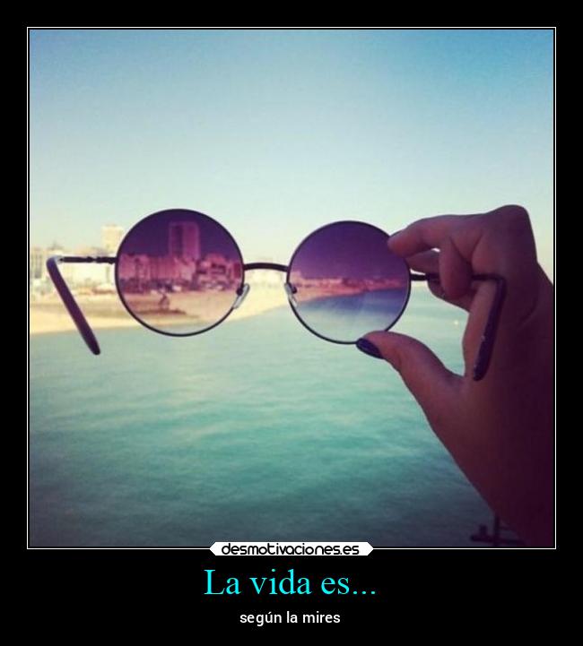 La vida es... - 