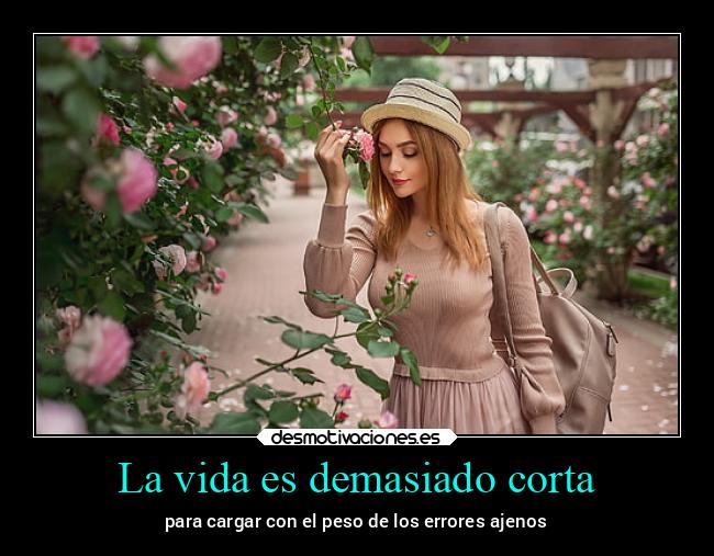 carteles vida bogota memes imposible alicea laterceracola porundia desmotivaciones