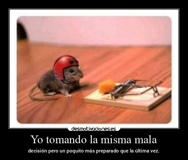 carteles vida minimilhouse venezuela ecuador desmotivaciones