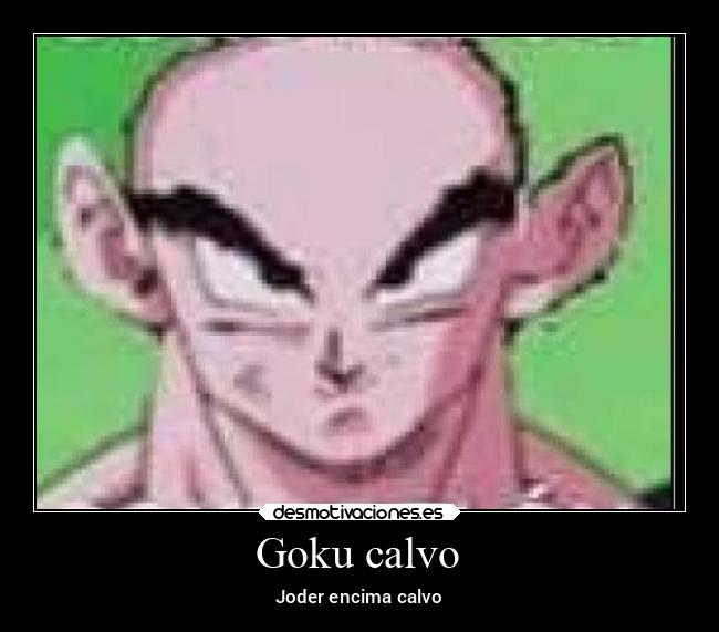 Goku calvo -