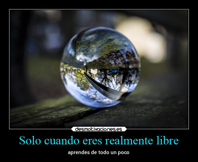 Solo cuando eres realmente libre - 