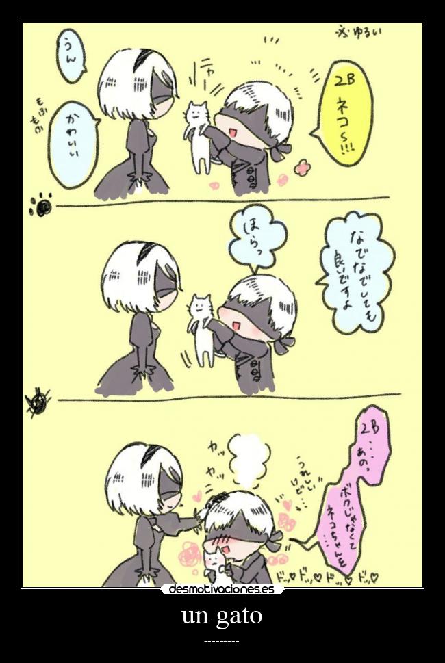 un gato - ---------