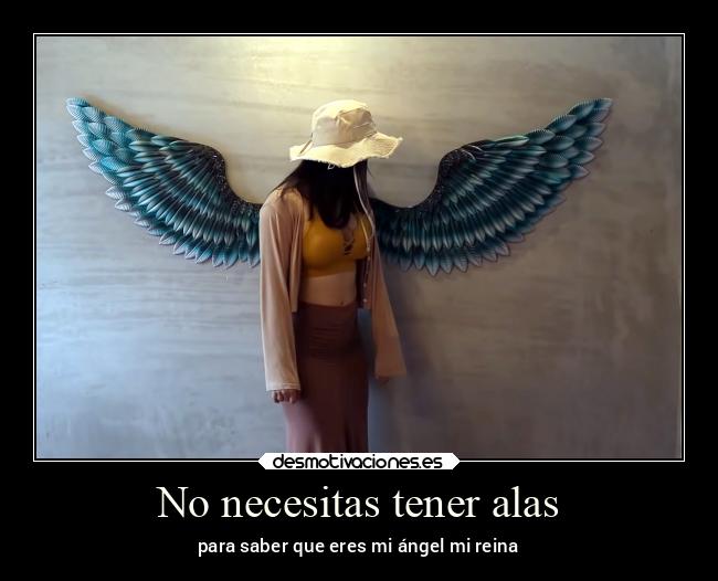 No necesitas tener alas - 