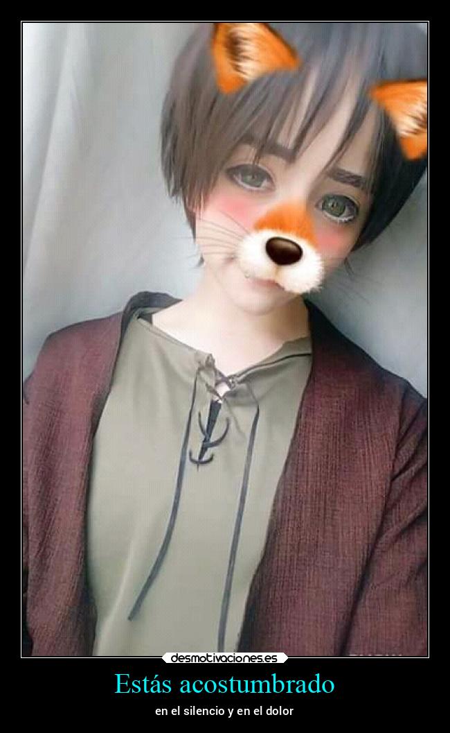 Estás acostumbrado - 