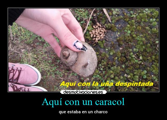 Aquí con un caracol - 
