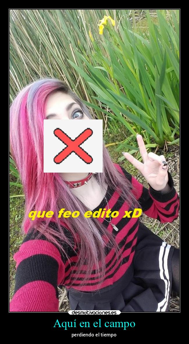 carteles alma arte amor locura alicea lasaventurasdealice desmotivaciones