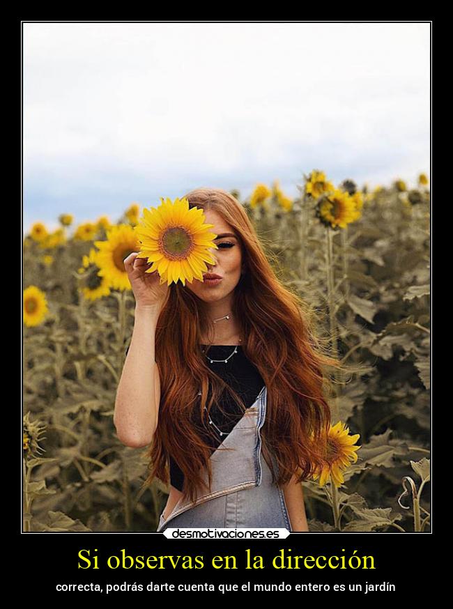 carteles alma confianza caracter comida alicea desmotivaciones