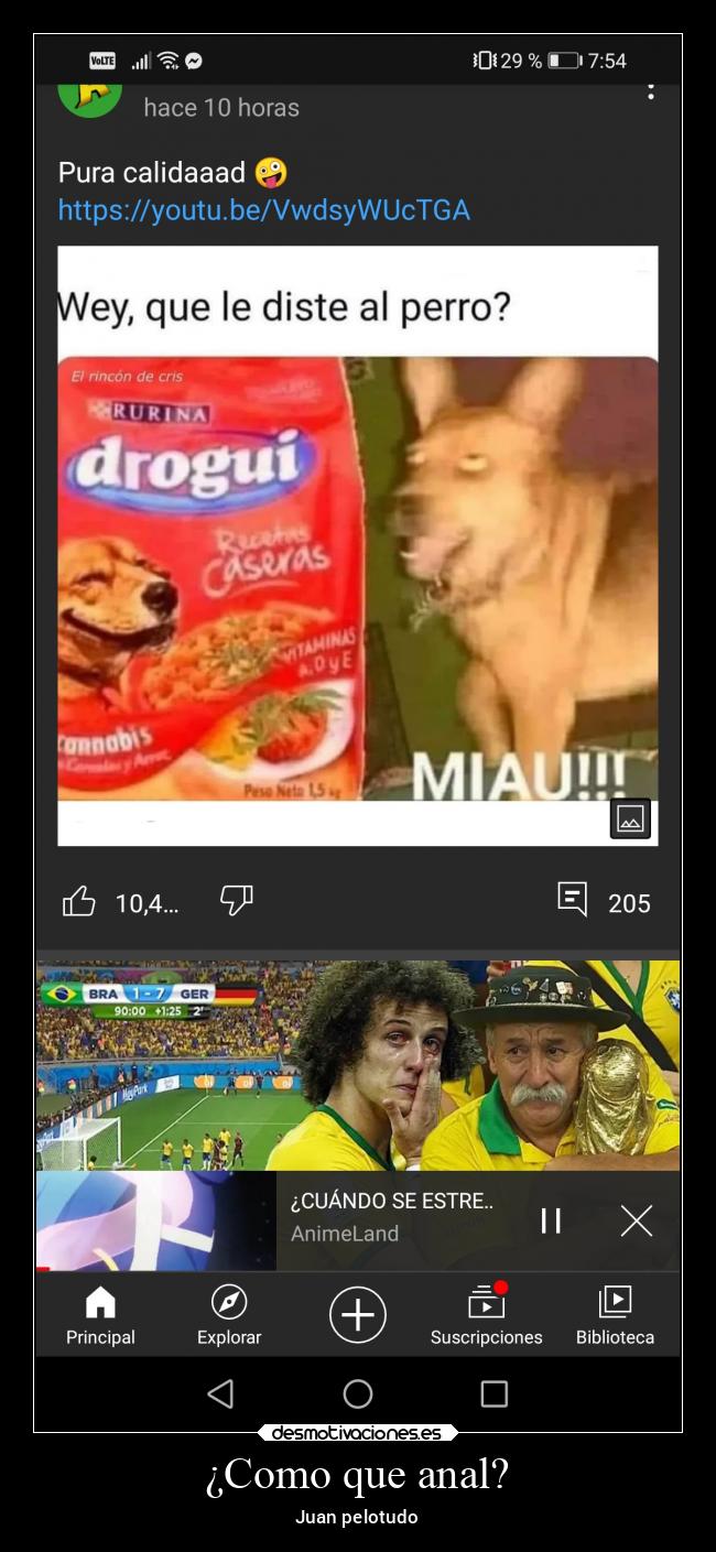 ¿Como que anal? - Juan pelotudo