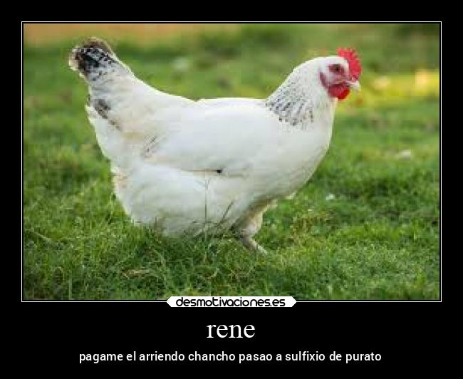 carteles amigos desmotivaciones