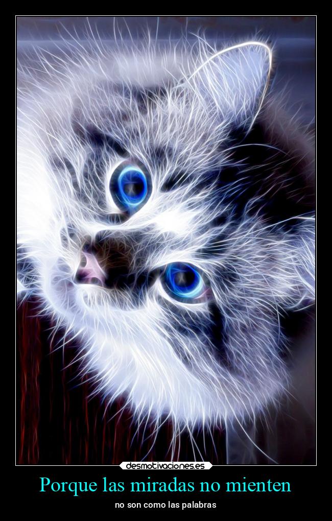 Porque las miradas no mienten - 