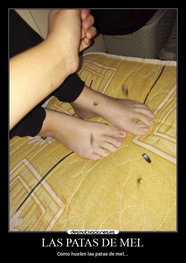LAS PATAS DE MEL - Como huelen las patas de mel...