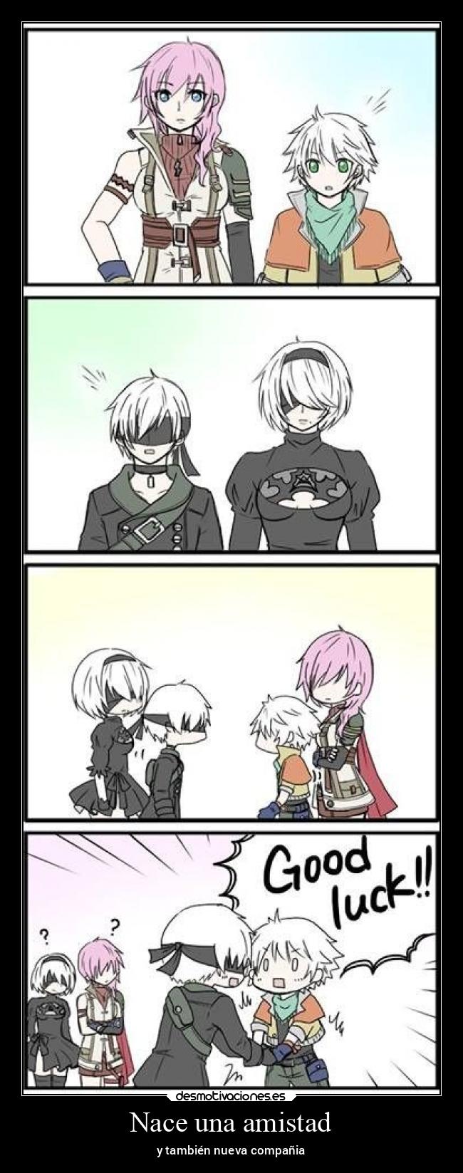 Nace una amistad - y también nueva compañia