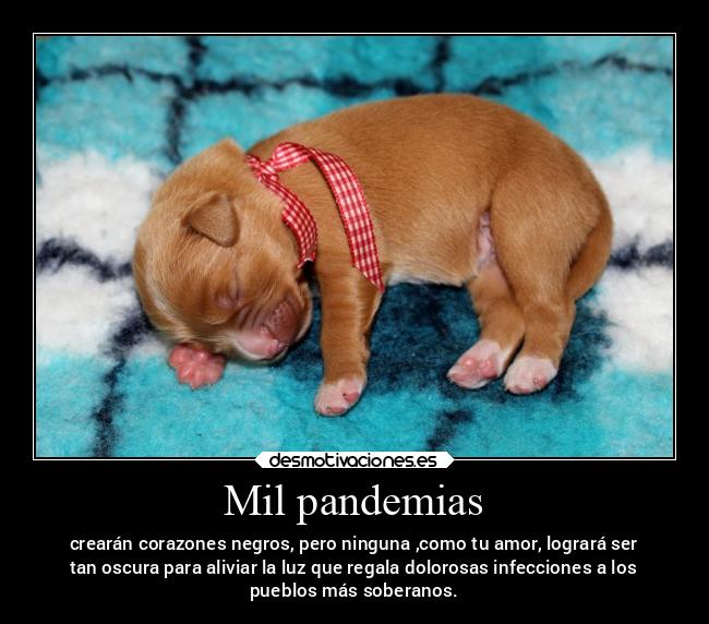 Mil pandemias - crearán corazones negros, pero ninguna ,como tu amor, logrará ser
tan oscura para aliviar la luz que regala dolorosas infecciones a los
pueblos más soberanos.