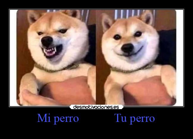 carteles amor desmotivaciones